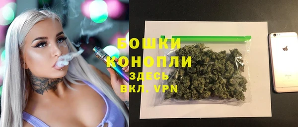 PSILOCYBIN Белокуриха