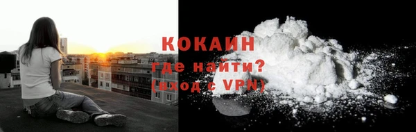 PSILOCYBIN Белокуриха