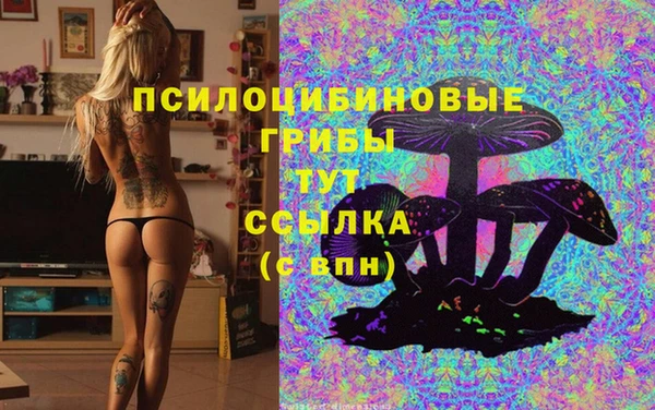 индика Белоозёрский