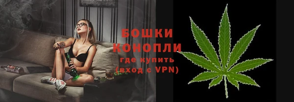 PSILOCYBIN Белокуриха