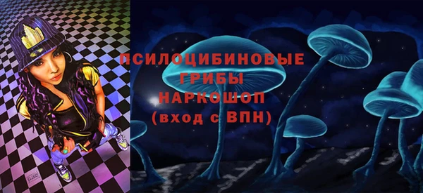 PSILOCYBIN Белокуриха