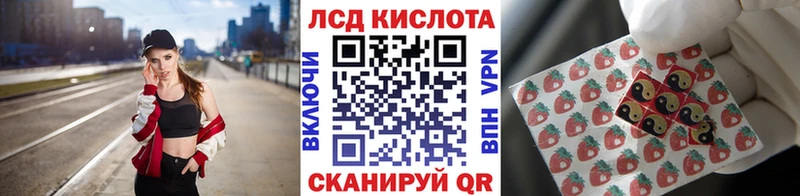 shop какой сайт купить наркоту Яхрома Марки NBOMe 1,8мг