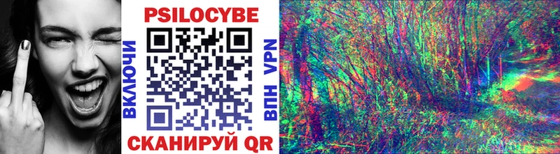 где можно купить   Яхрома  Псилоцибиновые грибы мицелий 